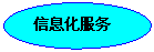 椭圆: 信息化服务