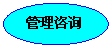 椭圆: 管理咨询